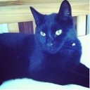 Ben - @ben__wilton - Twitter