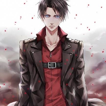 TheFirstHeichou's profile picture. Survey Corps|Leader Of Special Operation Squad