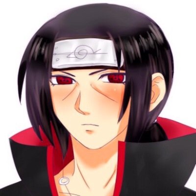 十六夜†┏┛ナルサク┗┓†さんのプロフィール画像