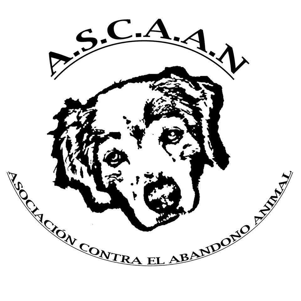 Asociación sin animo de lucro en defensa de los animales.  Podéis adoptar o acoger nuestros animales. contacto:600805664.