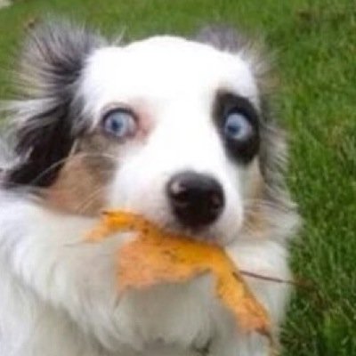 smartalec517's profile picture. 