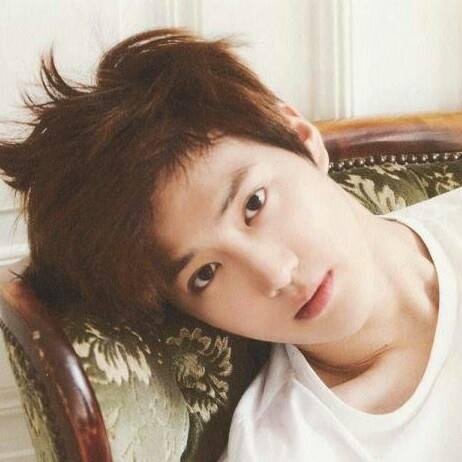อันยองงงง ชื่อซูโฮนะครับ ทักได้ มุ้งมิ้ง ขี้อ้อน เคะหรือเมะ แล้วแต่อารมณ์ -..-