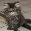 Ronald Dailey - @DaileyRonald - Twitter