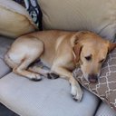 Nancy Reinfeld - @NancyReinfeld - Twitter