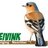 Heivink's profile image