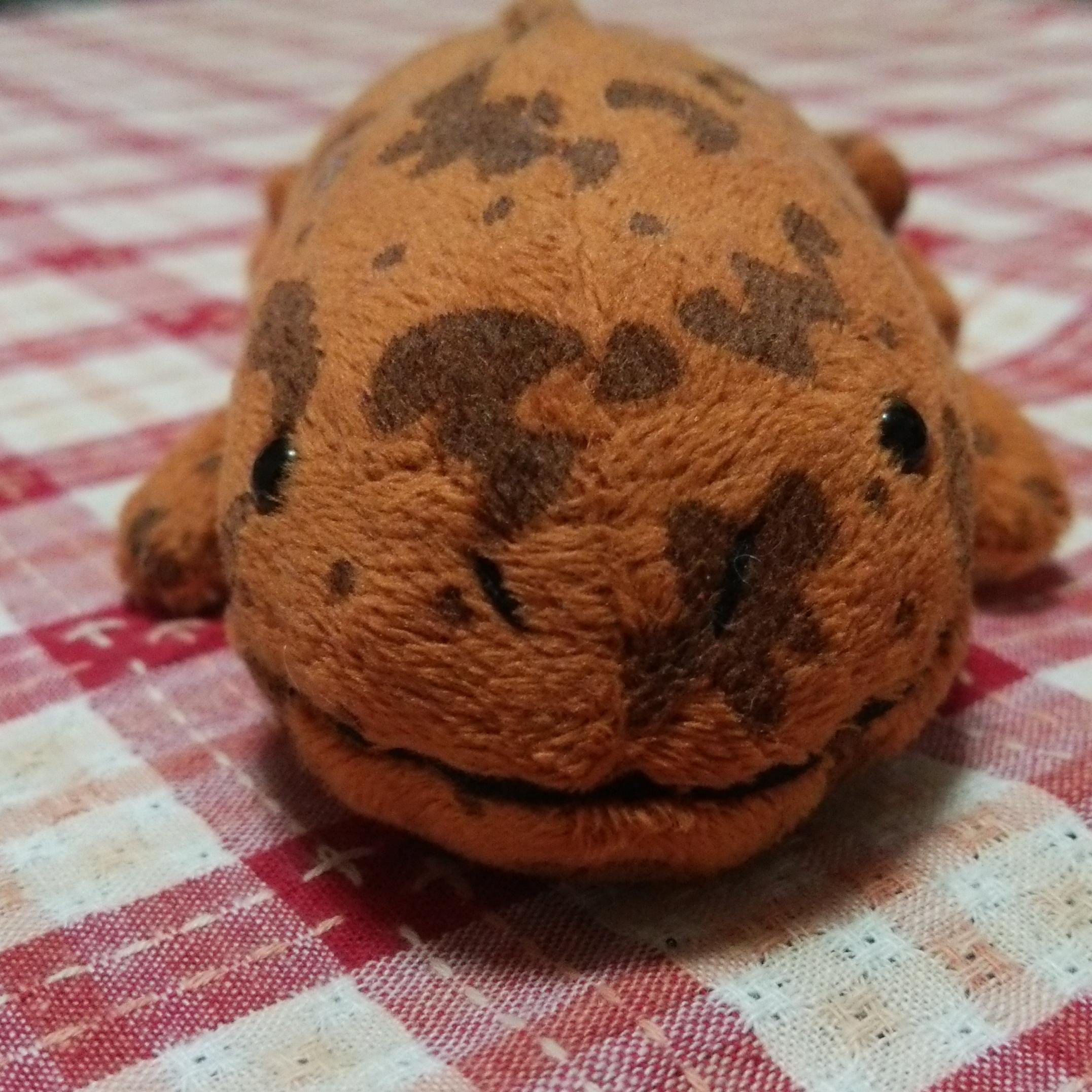 minokt47's profile picture. 春生まれの桜🌸大好き牡羊座🐏某相談窓口でのテレコミュニケータ一として9年目❗️音楽(特に川久保秀一さんと杉山清貴さん😊)、芝居、海、公園、植物園、動物園そしてラジオ📻へのメッセージを送るのが大好きです😄