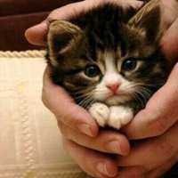 R ❌DM (@r_13990) 's Twitter Profile