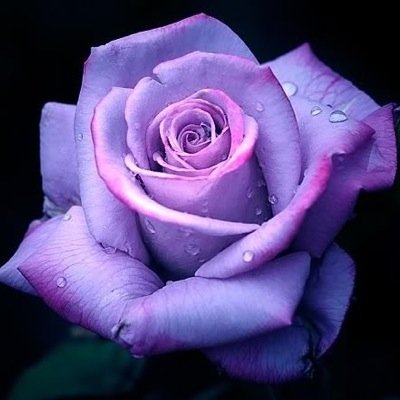 LiquidFreaky's profile picture. liquidfreaky@gmail.com