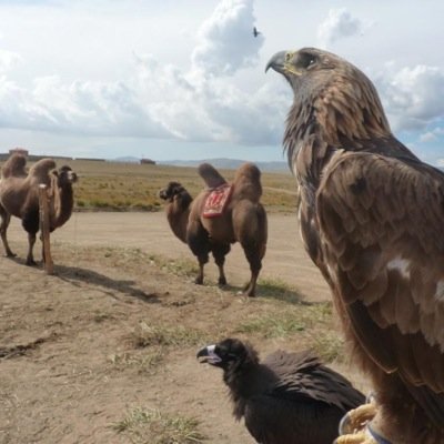 kpkkhan123's profile picture. تول دوستان دي الله خوشحاله لري __ماته بخنه كوي ___اخر كي يو شعر د ميسري خان خاطر __چي بيا دي ساي نه كرم په هغو سترگو_يو زالي خو اوگوره په مرو سترگو