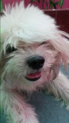 JessicaCindy5's profile picture. 