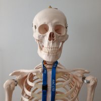 Ralph (@ralph_facltd) 's Twitter Profile