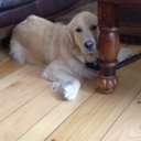 Kenny Walsh - @kwalsh1218 - Twitter