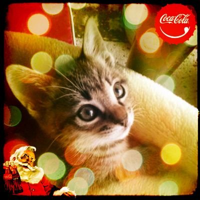 08_justice's profile picture. 