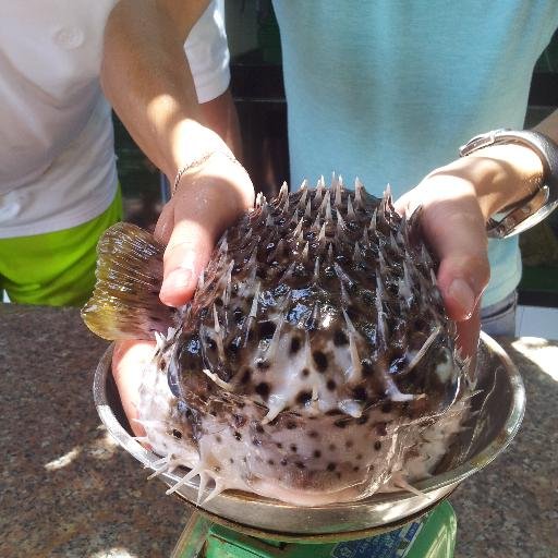 MikkyMin's profile picture. Люблю Вьетнам и вьетнамскую кухню