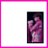 ___Kaito_xxx's profile image