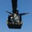 che_chepz's profile image