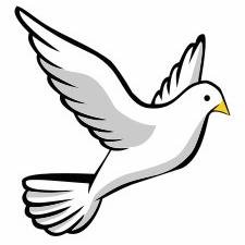 Happiness is the result of living a joyful life. When you are looking for inspiration and happiness, look for the Dove.