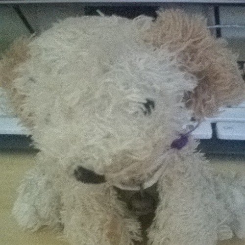 LindaSommarlov's profile picture. Hello!  My nime is linda!