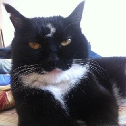 midwinter_lee's profile picture. 冲出亚洲，走向世界。