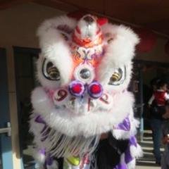 No longer active here, use link to contact. Marin Chinese Cultural Association (MCCA) Lion Dance Team Founded in 1979