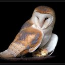 Mark Luttrell - @luttrell_mark - Twitter