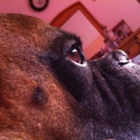 Mony Fdz (@mokafa) 's Twitter Profile