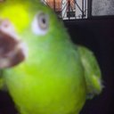 Gilmar Ribeiro - @45c92e977b2340a - Twitter