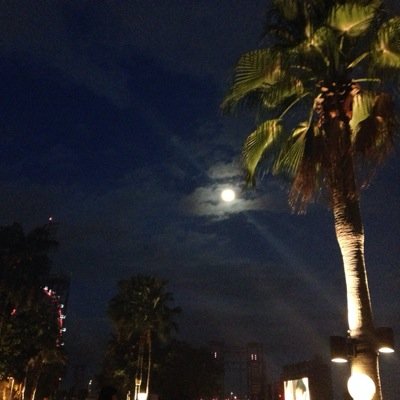 nickishaw1's profile picture. 