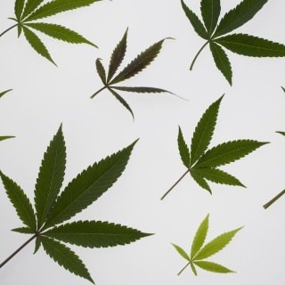 Weed isn't bad, society just made you think it was bad.