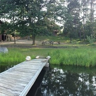 north_country_'s profile picture. The northers finest. Country. Trucks. Hunting. Wildlife. And Farming.