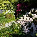 joan mullane - @MullaneJoan - Twitter