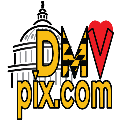 DMVpix Profile Picture