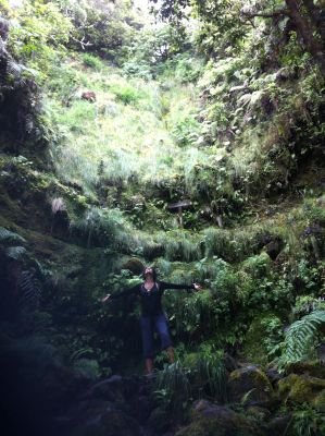 rociolr221's profile picture. 