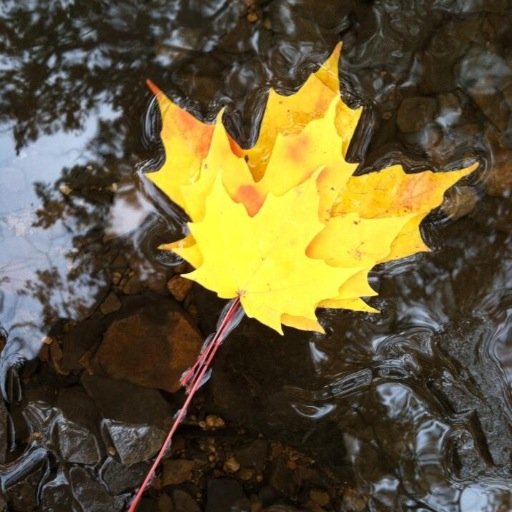 VassarPoet's profile picture. He has shown you, O mortal, what is good. And what does the LORD require of you? To act justly and to love mercy and to walk humbly with your God.