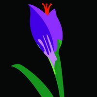 Pennyenglishsaffron (@pennyattwood) 's Twitter Profile Photo Pennyenglishsaffron (@pennyattwood) 's Twitter Profile Photo