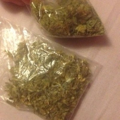 weed life, is the best life