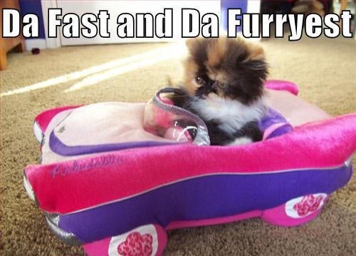 KittyKaht27's profile picture. 