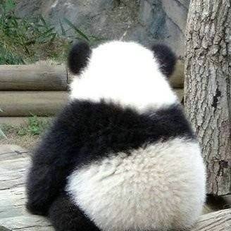 kats0704's profile picture. 