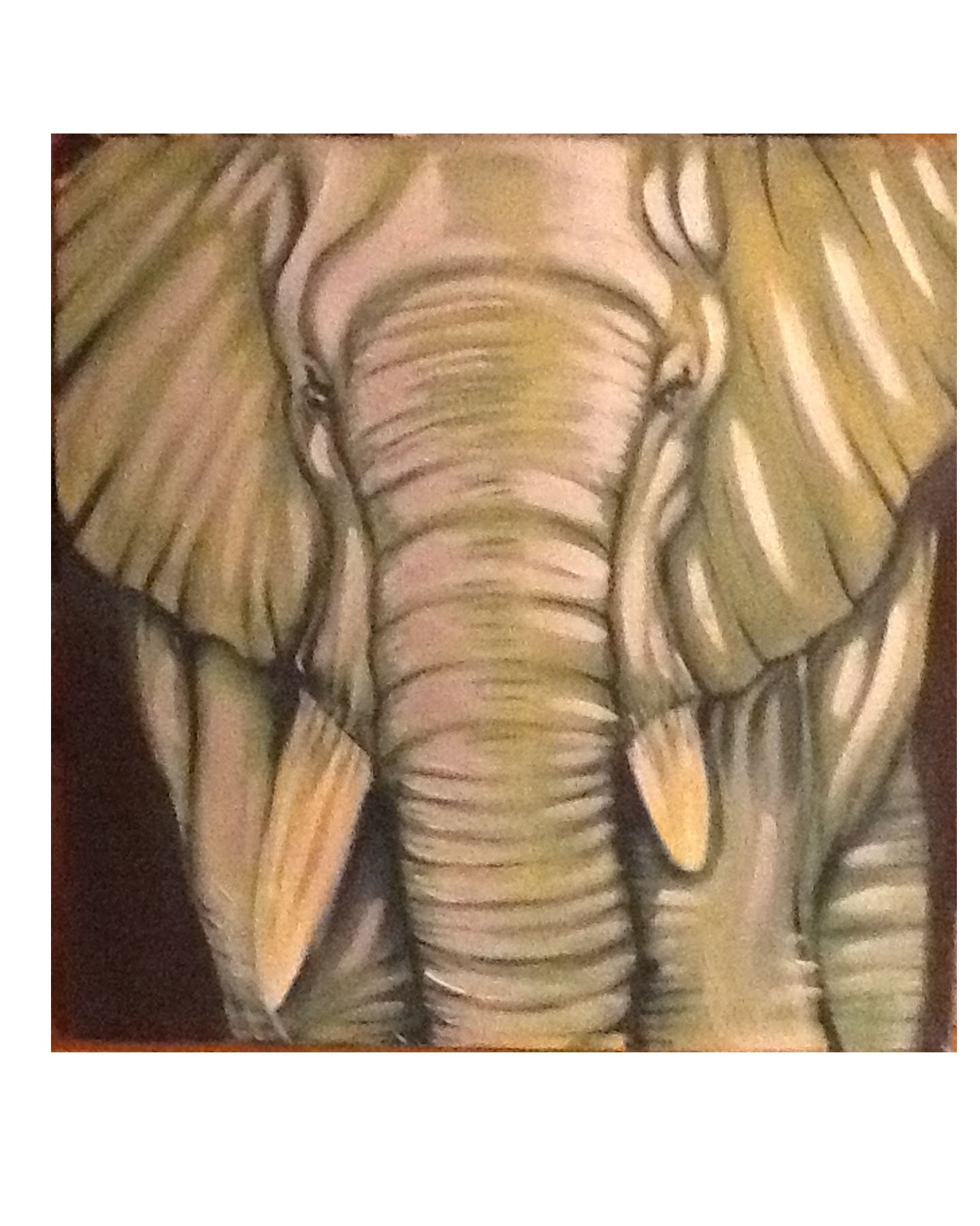 sseedsseed's profile picture. 