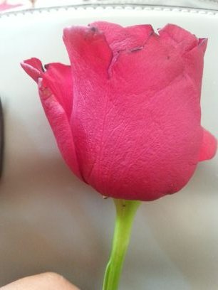 سبحاااااان الله وبحمده