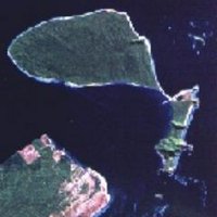 ILHA DO MEL (@ilhadomel) 's Twitter Profile