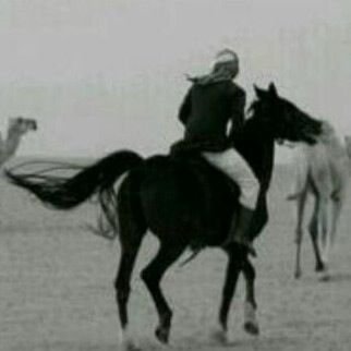 ‏‏استغفر الله والحمد لله ولا اله الى الله
