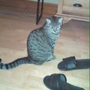 Matt Donley - @31602df75ff2471 - Twitter