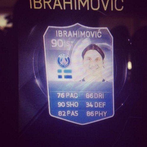 TheFIFA_Dude Profile Picture