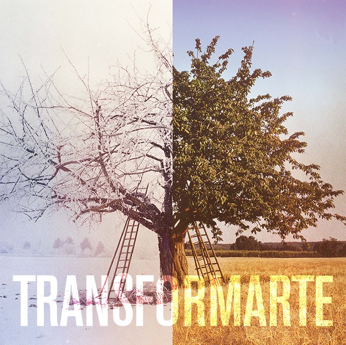 Transformarme's profile picture. Convertite en la persona que siempre debiste ser.