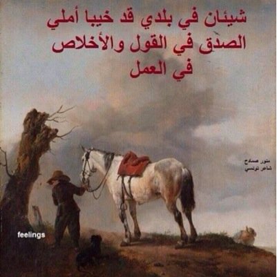 المنطقة الشرقية
محافظة الأحساء