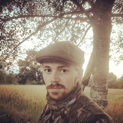 kallealtsater's profile picture. 