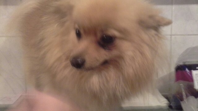 ff8eec2b4bf2415's profile picture. hi my youtube channel is Malakai craig