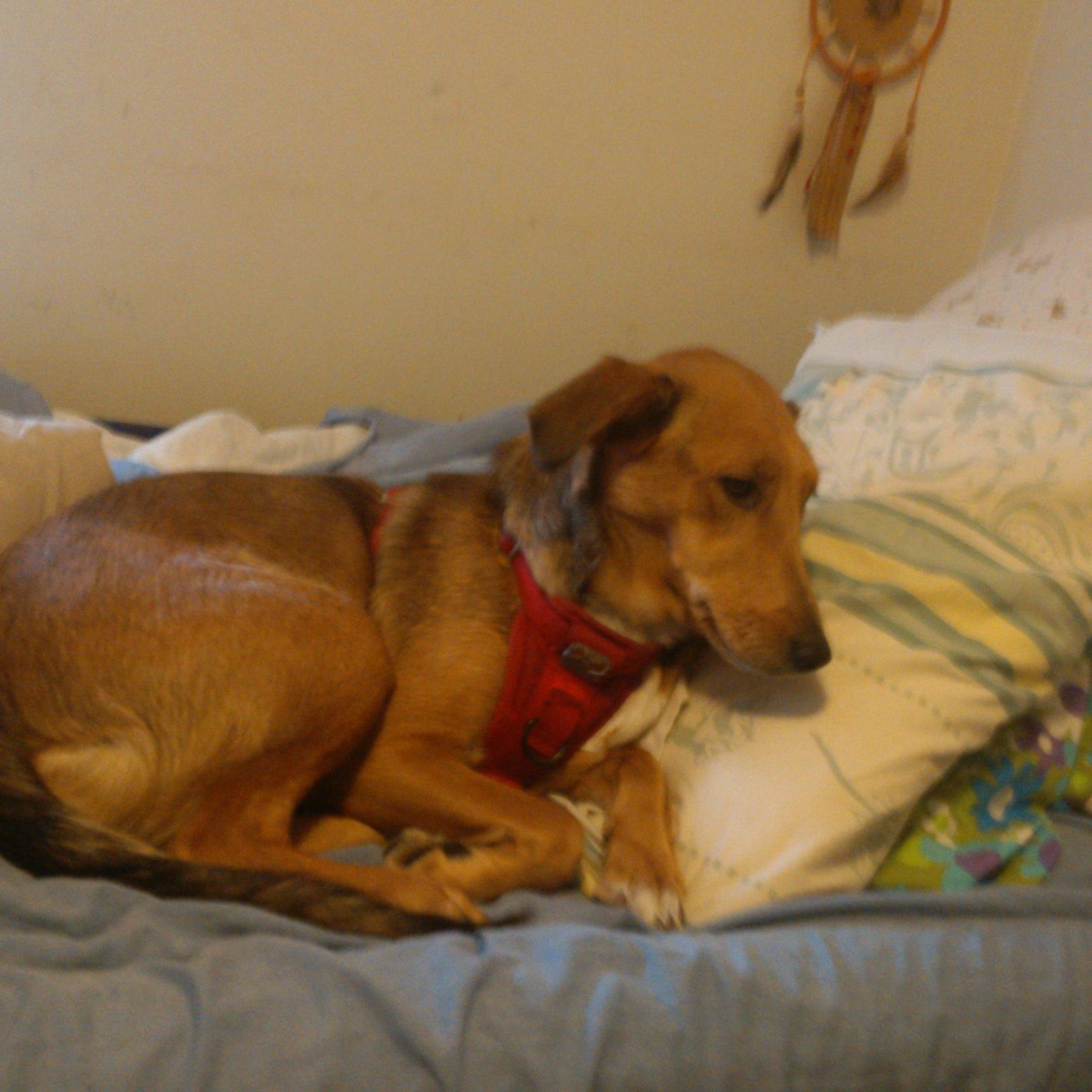 okjoe24_joesph's profile picture. 