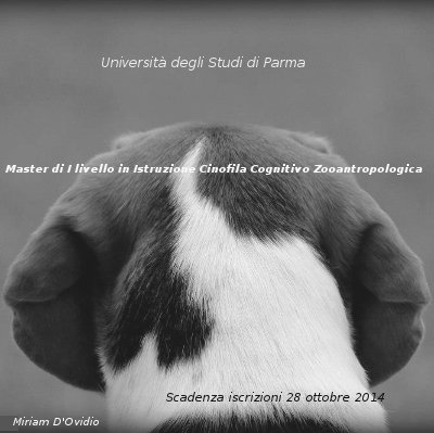 Per la diffusione dell'approccio cognitivo zooantropologico nell'educazione, istruzione e riabilitazione comportamentale del cane. http://t.co/tueACWn7AA